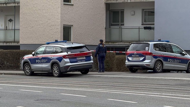 Gurbetçi eşini öldürdükten sonra intihar etti