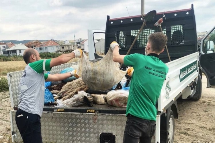 Bursa İnegöl'de 300 ton kurban atığı toplandı