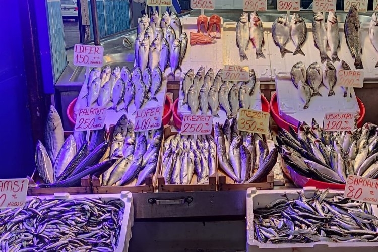 Balık Avcılığına Kısıtlama Getiriliyor, Piyasa Dengesi Hedefleniyor
